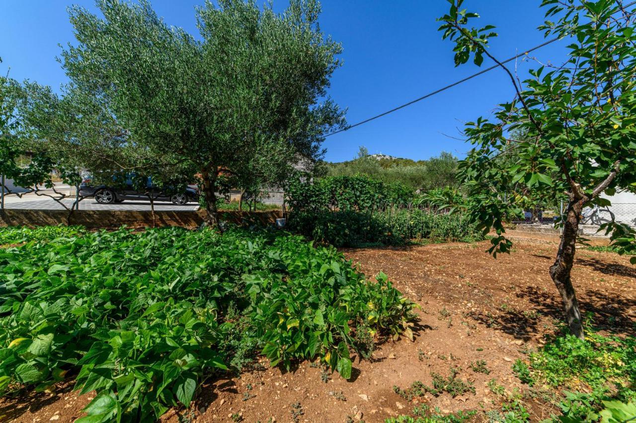 Apartmani Ante Sibenik Exterior photo